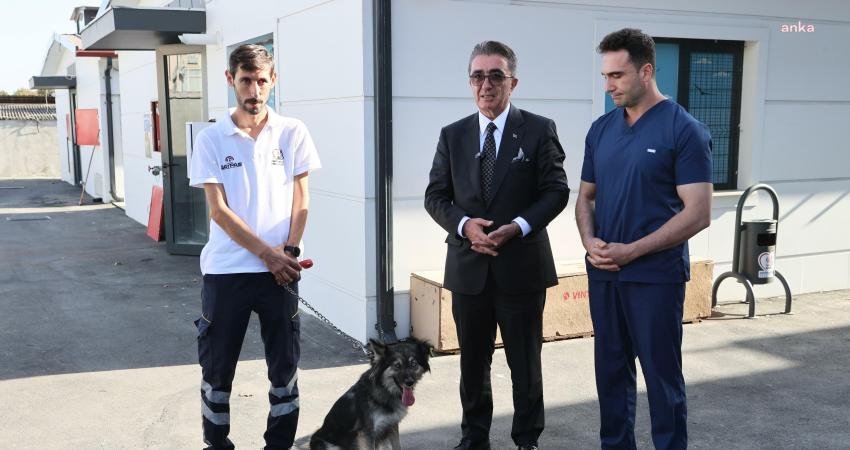 İstanbul Bayrampaşa Belediye Başkanı Hasan Mutlu, 4 Ekim Hayvanları Koruma