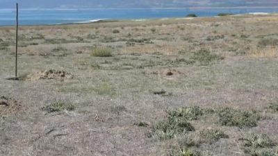 Burdur Gazeteciler Cemiyeti, su seviyesinin hızla azaldığı ve kuruma tehlikesi