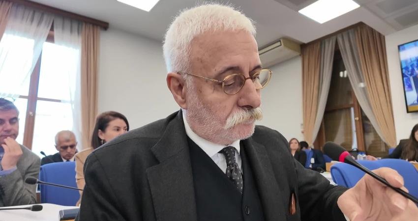 TBMM Plan ve Bütçe Komisyonu DEM Parti Grup Sözcüsü Saruhan Oluç,
