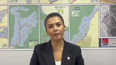 CHP İstanbul İl Kadın Kolları Başkanı Hatice Selli Dursun, İstanbul