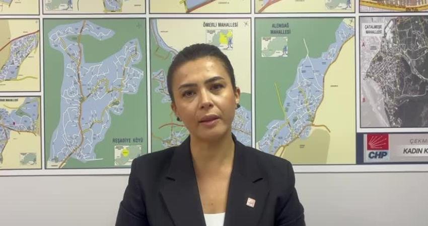 CHP İstanbul İl Kadın Kolları Başkanı Hatice Selli Dursun, İstanbul