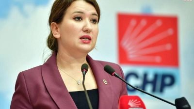 CHP Genel Başkan Yardımcısı Gökçe Gökçen, son günlerdeki kadın ve