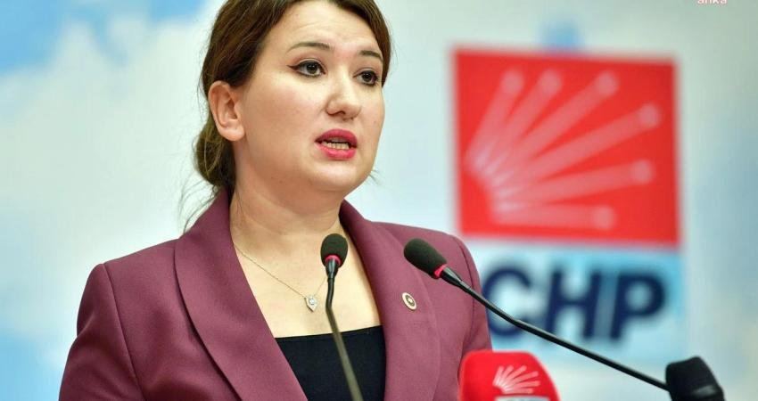 CHP Genel Başkan Yardımcısı Gökçe Gökçen, son günlerdeki kadın ve