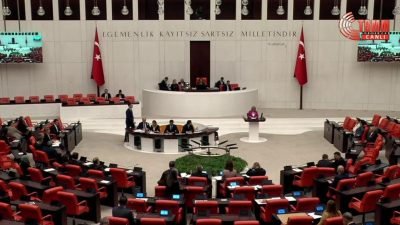 CHP Tekirdağ Milletvekili Nurten Yönter, TBMM'de Genel Kurulu'nda 1-31 Ekim meme