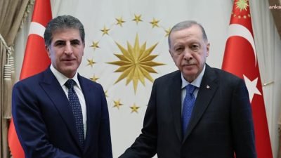 Cumhurbaşkanı Recep Tayyip Erdoğan, Irak Kürt Bölgesel Yönetimi Başkanı Neçirvan