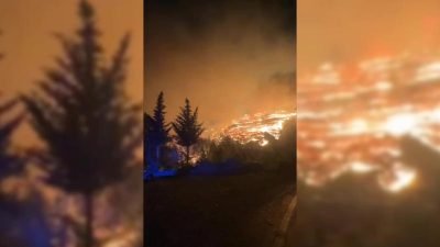Muğla'nın Ortaca ilçesinde çıkan orman yangını kontrolü altına alınırken Dalaman'da