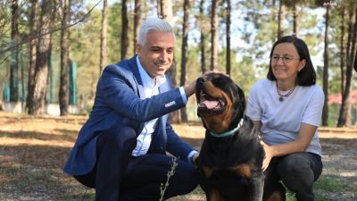 İETT, İBB Veteriner Hizmetleri Müdürlüğü ve Semtpati Vakfı işbirliği ile