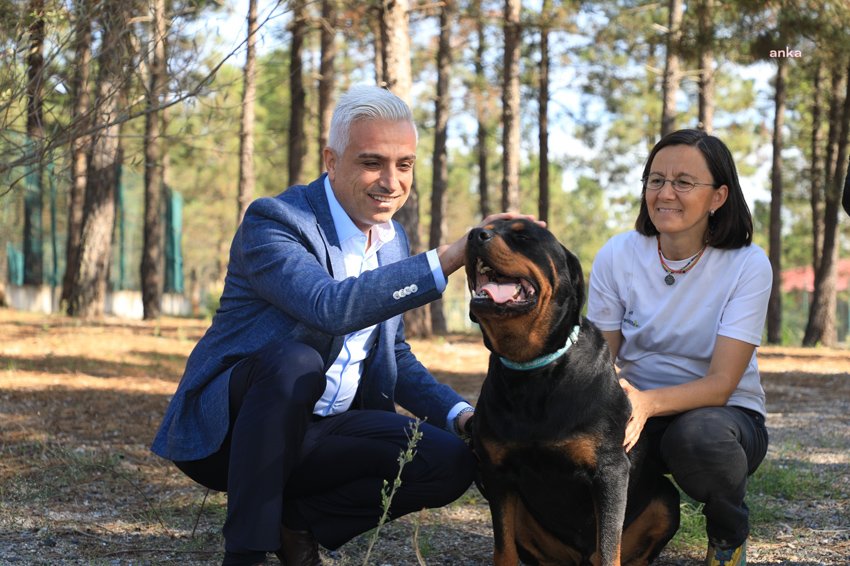 İETT, İBB Veteriner Hizmetleri Müdürlüğü ve Semtpati Vakfı işbirliği ile