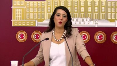 Emek Partisi (EMEP) Gaziantep Milletvekili Sevda Karaca, MHP Genel Başkanı