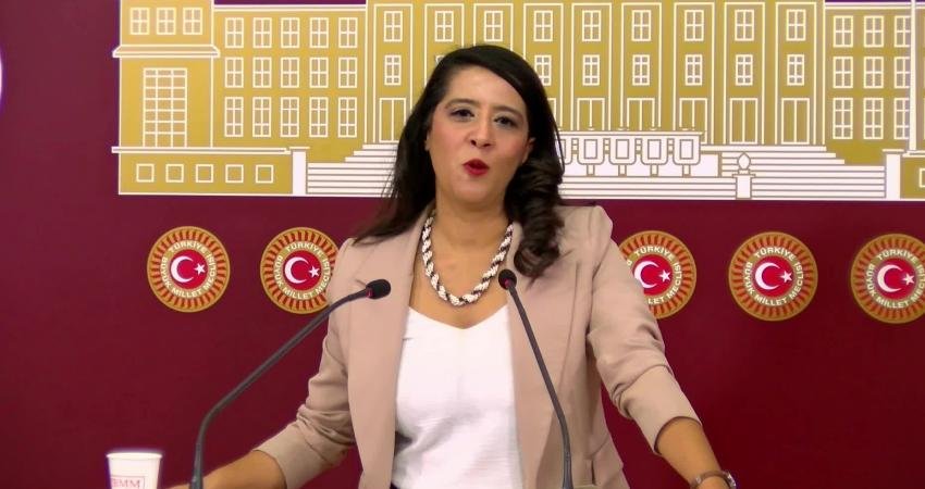 Emek Partisi (EMEP) Gaziantep Milletvekili Sevda Karaca, MHP Genel Başkanı