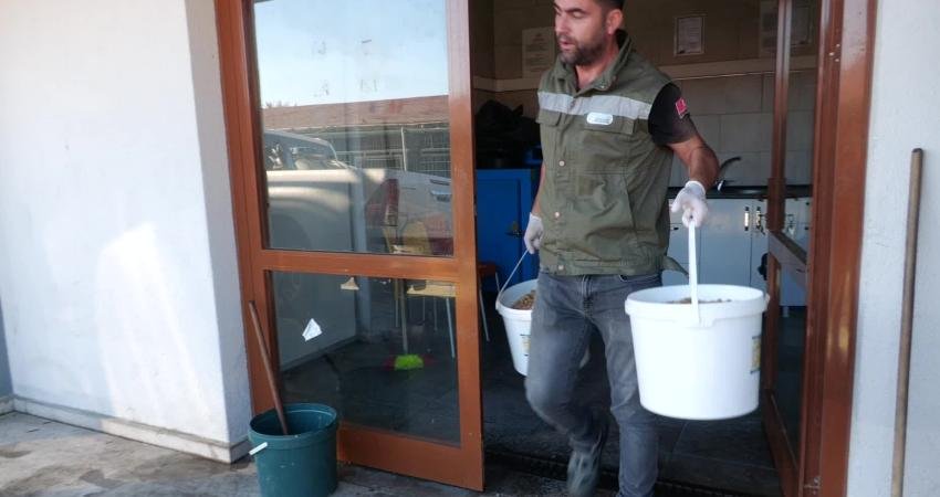 Esenyurt Belediyesi, sokak hayvanları için mama ve su desteğini sürdürüyor.