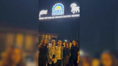 İstanbul Barosu Hayvan Hakları Merkezi, Gebze Belediyesi’ne ait barınağın önünde çöp
