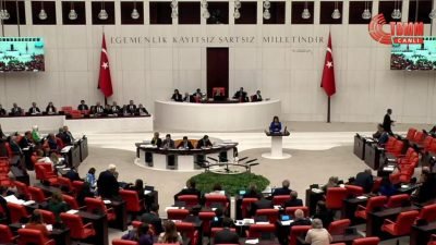 CHP Mersin Milletvekili Gülcan Kış, TBMM Genel Kurulu’nda; Tüketicinin Korunması