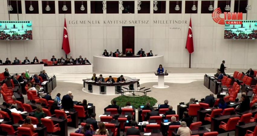 CHP Mersin Milletvekili Gülcan Kış, TBMM Genel Kurulu’nda; Tüketicinin Korunması