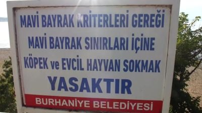 Balıkesir'in Edremit Körfezi'nde, havanın sıcak olmasını fırsat bilen yerli ve