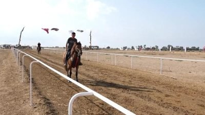 Manavgat Belediyesi ve Türkiye Geleneksel Atlı Spor Dalları Federasyonu iş