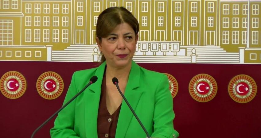 DEM Parti Erzurum Milletvekili Meral Danış Beştaş, "Birçok kadın cinayeti