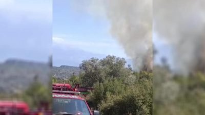Muğla'nın Seydikemer ilçesinde zirai alanda çıkan yangın, ormanlık alana sıçradı.