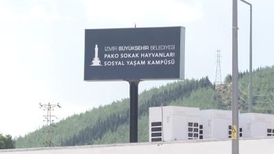 Türk Tabipleri Birliği’nin halk sağlığı alanındaki araştırma görevlilerine yönelik düzenlediği