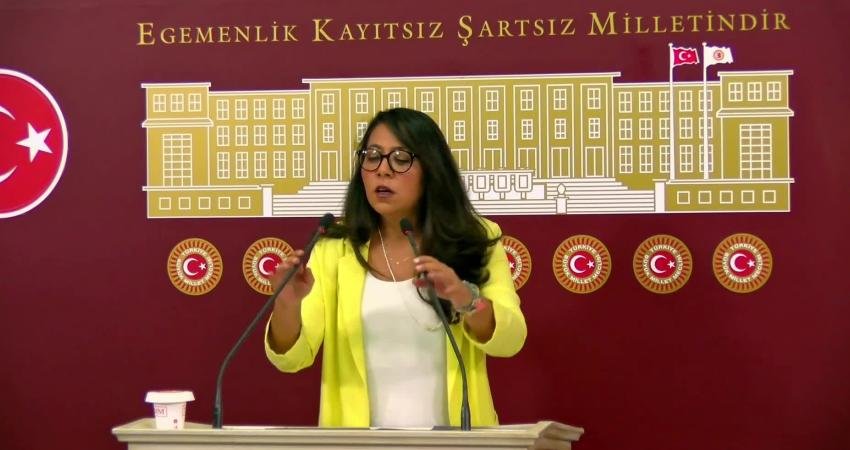 Türkiye İşçi Partisi (TİP) İstanbul Milletvekili Sera Kadıgil, TBMM’de 90