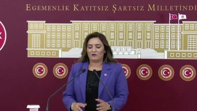 CHP İzmir Milletvekili Sevda Erdan Kılıç, "Kadın cinayetleri her gün,
