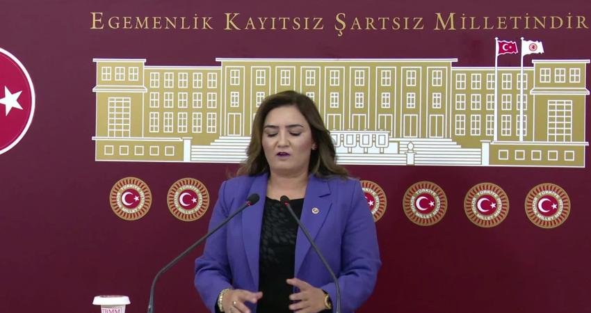 CHP İzmir Milletvekili Sevda Erdan Kılıç, "Kadın cinayetleri her gün,