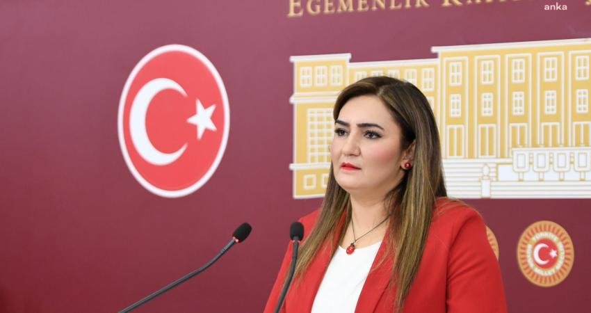  CHP İzmir Milletvekili Sevda Erdan Kılıç, TBMM Başkanı Numan Kurtulmuş'un