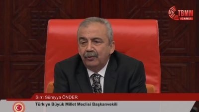 TBMM Başkanvekili Sırrı Süreyya Önder, MHP Genel Başkanı Devlet Bahçeli'nin