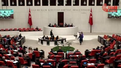 TBMM Genel Kurulu’nda, kadın milletvekilleri kadınlara yönelik artan şiddet olayları