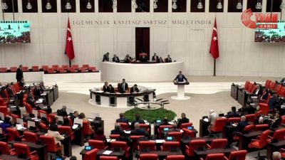 Saadet Partisi Grup Başkanvekili Bülent Kaya, TBMM Genel Kurulu'nda, "yenidoğan