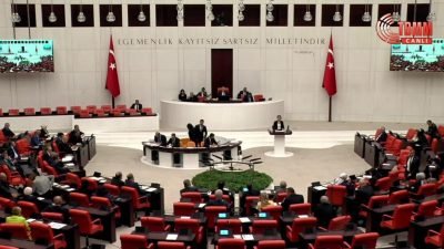 TBMM Genel Kurulu'nda, Türk askerinin Lübnan'daki görev süresinin 1 yıl
