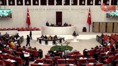 TBMM'de kadına yönelik şiddete karşı araştırma komisyonu kuruldu. Araştırma komisyonu, çalışmalarının