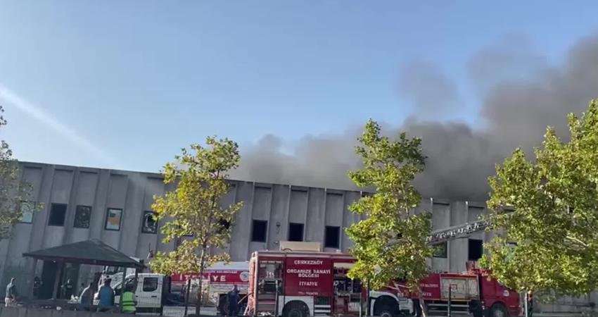 Tekirdağ'ın Çerkezköy ilçesinde organize sanayi bölgesinde bulunan bir fabrikada yangın