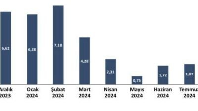 Türkiye Ekonomi Politikaları Araştırma Vakfı (TEPAV) , Eylül 2024 Gıda