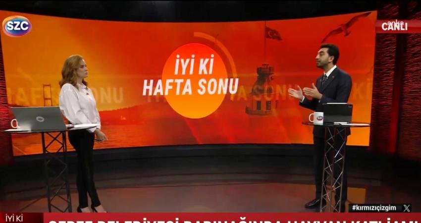 Tuzla Belediye Başkanı Eren Ali Bingöl, sokak hayvanları için barınak