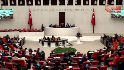 Özel sağlık kuruluşlarında yenidoğan bebeklerin ölümüyle ilgili olayların incelenerek nitelikli