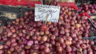 Yozgat’ta soğan hasadı tamamlandı. Diğer soğanlara göre daha az ekilip,