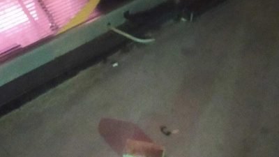 AK Parti Beylikdüzü İlçe Başkanlığı binasına kaldırım taşıyla saldırı düzenlendi. İstanbul