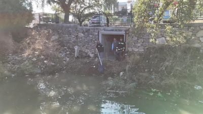 Bodrum Belediyesi ekipleri, şiddetli yağmur sonrası Tabiat Varlıklarını Koruma Genel