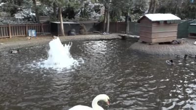 Çankaya Belediyesi, "25 Kasım Kadına Yönelik Şiddete Karşı Uluslararası Mücadele
