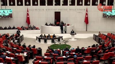 TBMM Genel Kurulu'nda konuşan CHP İstanbul Milletvekili Turan Taşkın Özer,