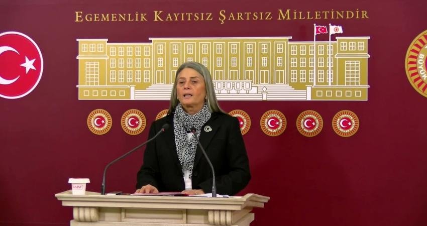 CHP Trabzon Milletvekili Sibel Suiçmez, İzmir'de meydana gelen yangında 5