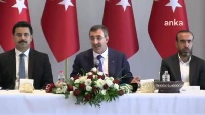 CHP İstanbul Milletvekili Mahmut Tanal, Mardin, Batman ve Halfeti belediye