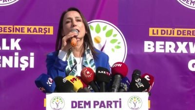 DEM Parti Grup toplantısını Mardin Belediyesi önünde yaptı. Burada konuşan