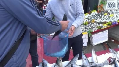 Edirne’de sezon ortasında tanesi 100 liraya kadar düşen palamut balığının