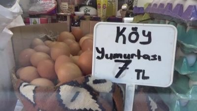 Edirne’de tavuk yumurtası fiyatları, gelen zamlarla birlikte hızla yükseldi. Esnaf