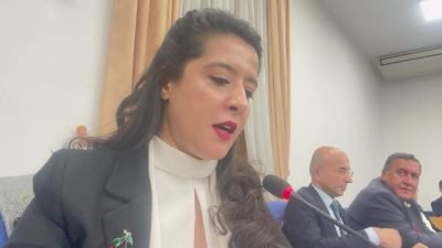 Emek Partisi (EMEP) Gaziantep Milletvekili Sevda Karaca, TBMM Plan ve