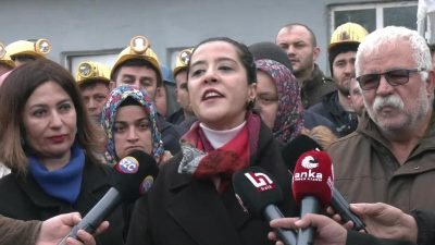 EMEP Milletvekili Sevda Karaca, varlık satışı kararına karşı eylem yapan