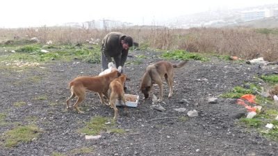 Esenyurt Belediyesi, sokak hayvanları için mama ve su desteğini sürdürüyor.