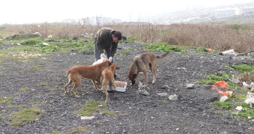 Esenyurt Belediyesi, sokak hayvanları için mama ve su desteğini sürdürüyor.